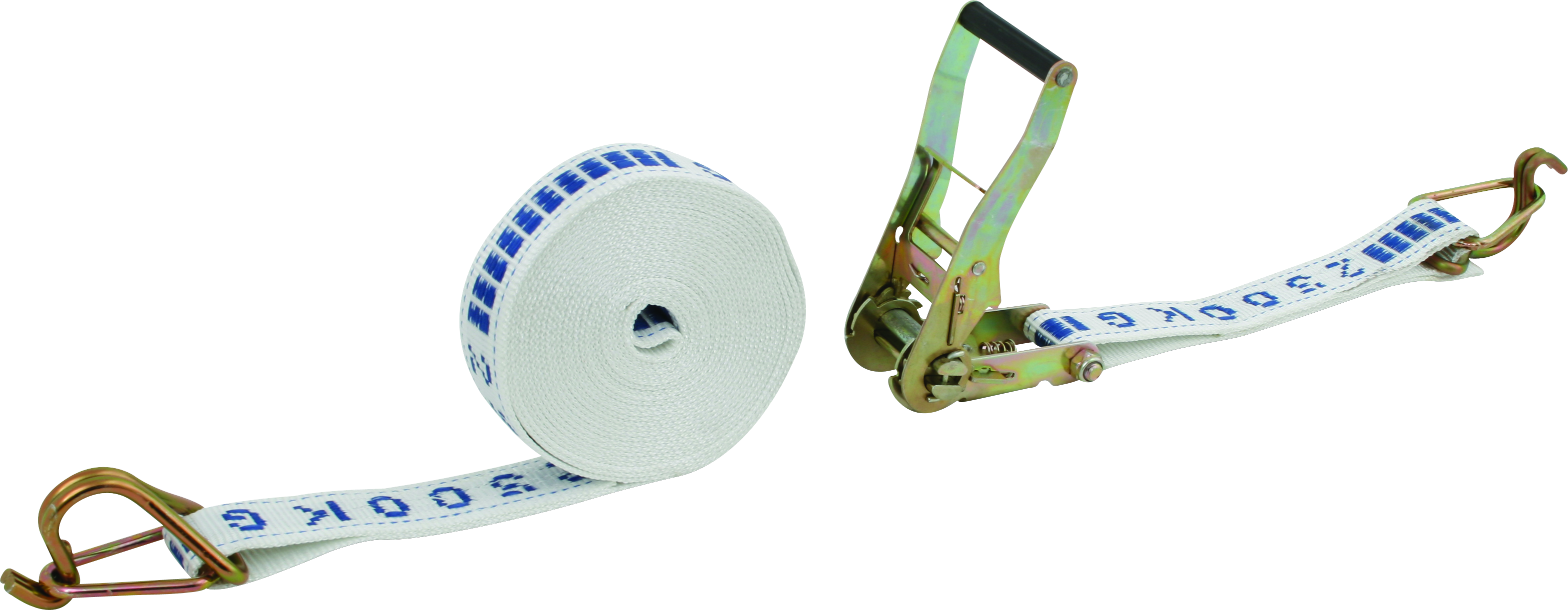 10m, 2500kg tie down complete