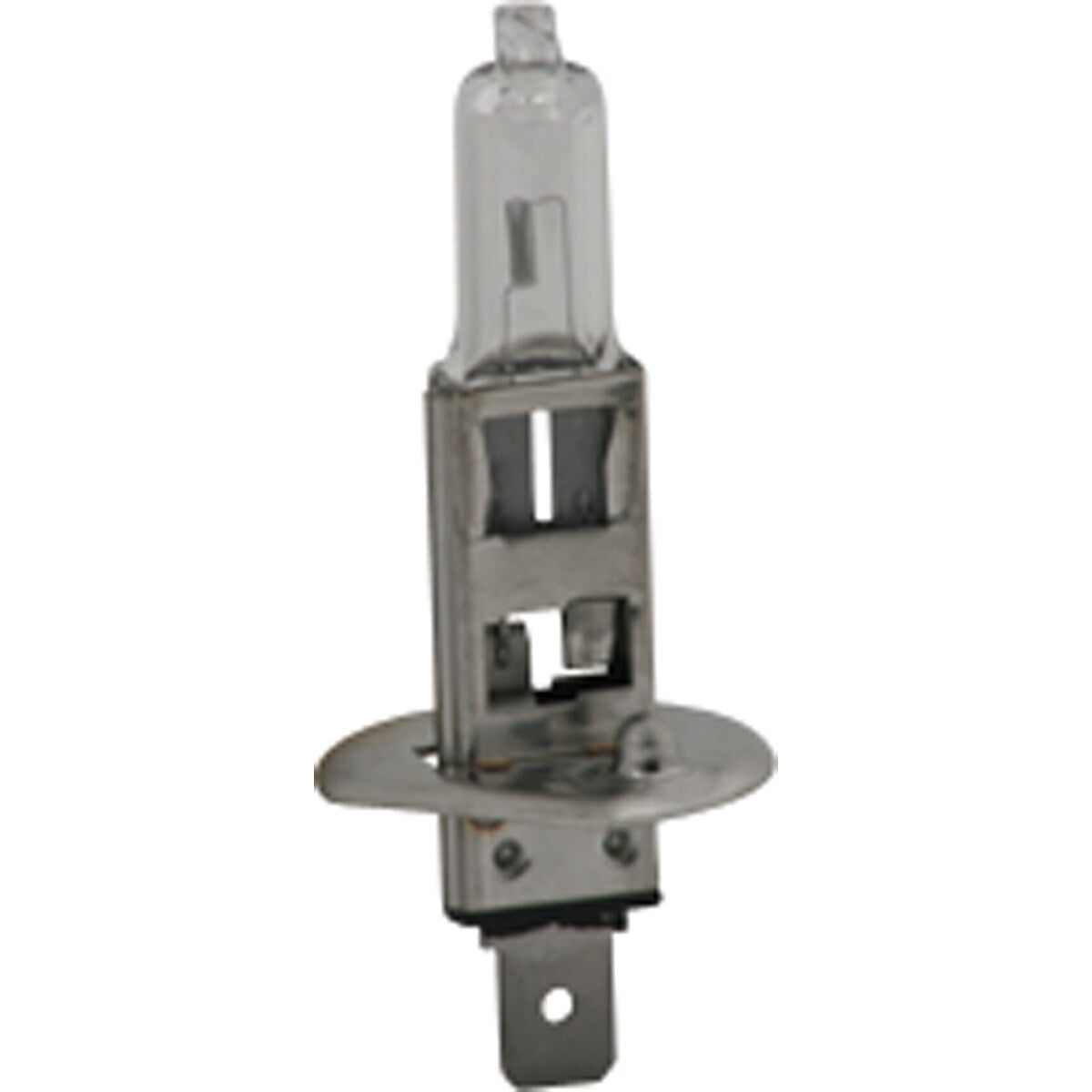 H1 Halogen bulb, 12V, 55W